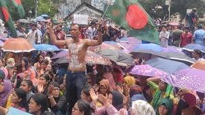 ৬ শতাধিক পটল গাছ উপড়ে ফেলল দুর্বৃত্তরা, দিশেহারা কৃষক