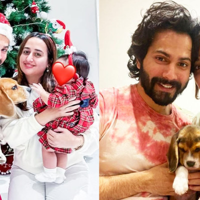 কন্যাশিশু লারা নয়, বরুণের প্রথম সন্তান পোষা কুকুর!