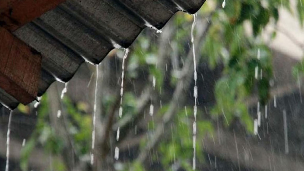 নড়াইলের শ্রীনগর গ্রামে ভ্যানচালককে পুলিশি হয়রানির প্রতিবাদে মানববন্ধন