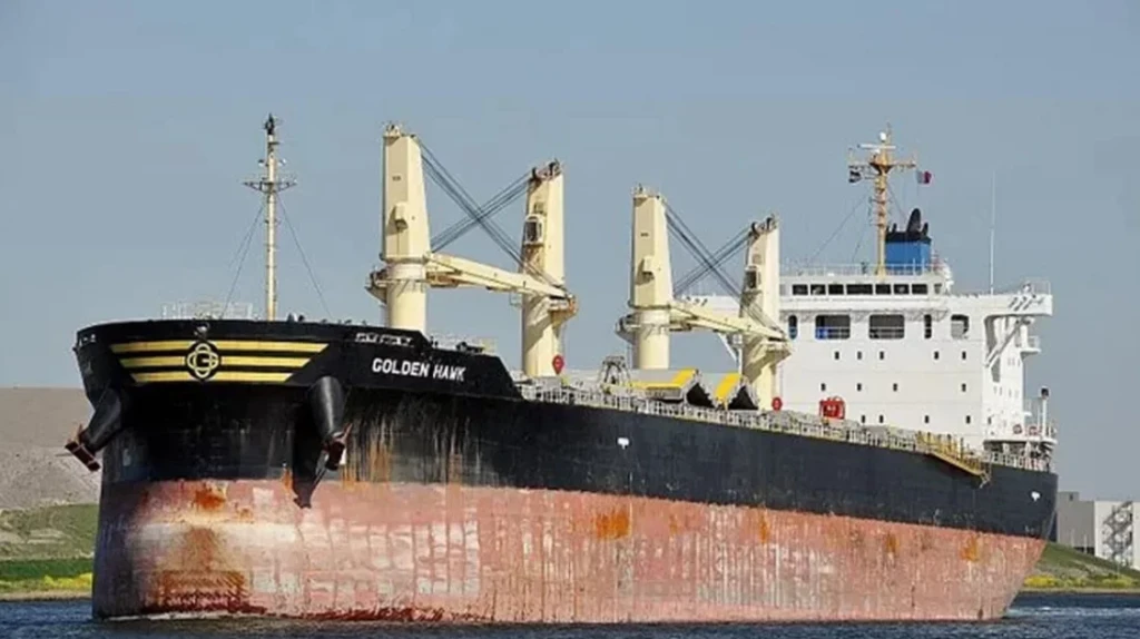 এমভি আবদুল্লাহর নাবিকদের জন্য দুম্বা আনছে জলদস্যুরা