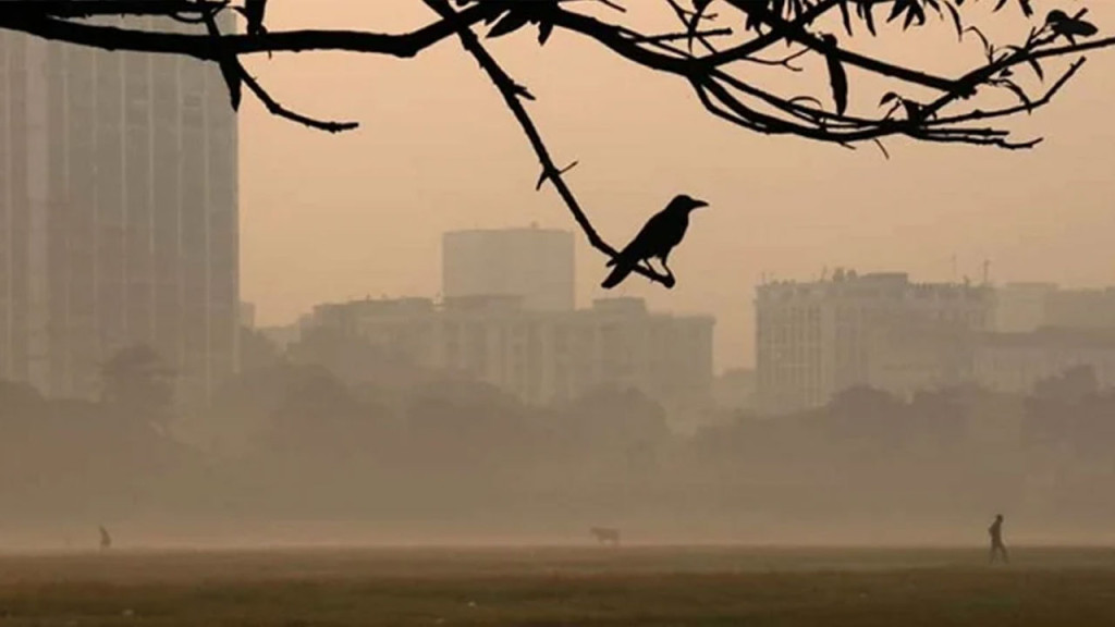 নড়াইলে চাকরি মেলায় পাঁচ শতাধিক বেকারকে কর্মসংস্থানের ব্যবস্থা