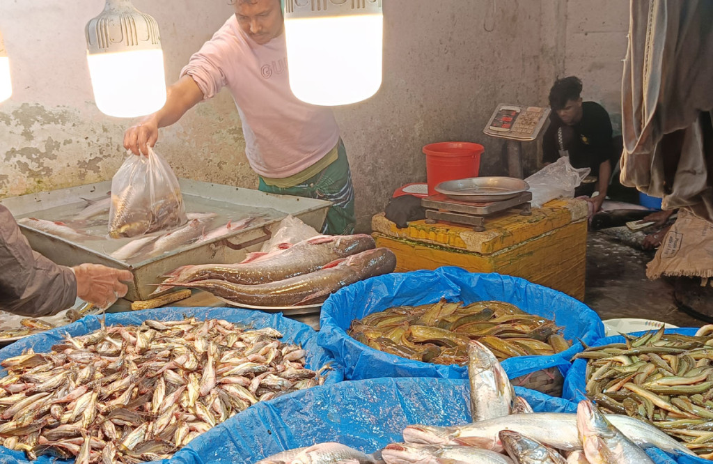 ভরপুর মাছের বাজারেও দামে অস্বস্তি, স্থিতিশীল গরু-মুরগির মাংস
