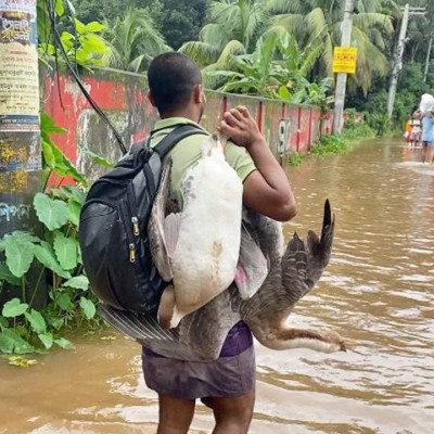 গাজায় নিহত ফিলিস্তিনিদের অন্তত ৫৬ শতাংশ নারী ও শিশু: জাতিসংঘ