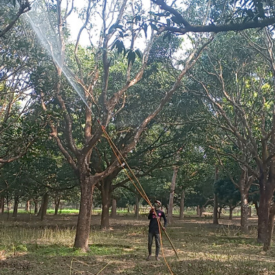 ঘূর্ণিঝড়ে ক্ষতিগ্রস্ত ঘরবাড়ি তৈরি করে দেব : প্রধানমন্ত্রী