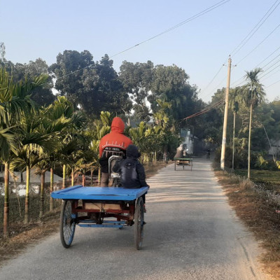 সকালের মিষ্টি রোদে কমেছে পঞ্চগড়ে শীতের তীব্রতা