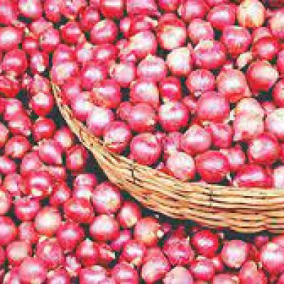 কেজিতে প্রতিদিন ৩ টাকা করে বাড়ছে পেঁয়াজের দাম