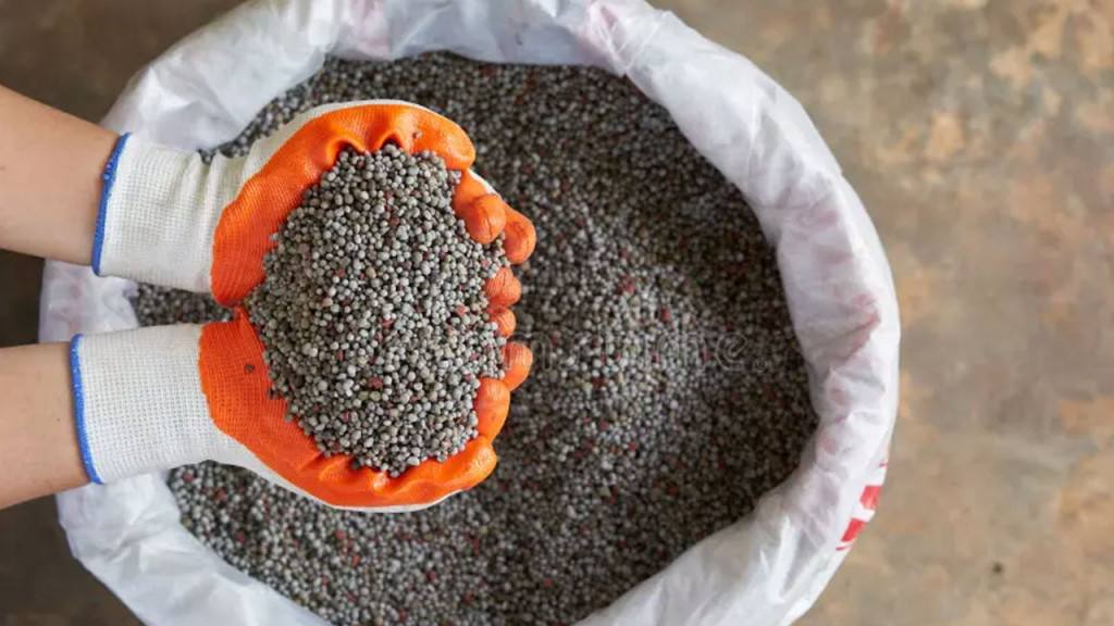 ৯ দেশ থেকে নন-ইউরিয়া সার কিনবে সরকার