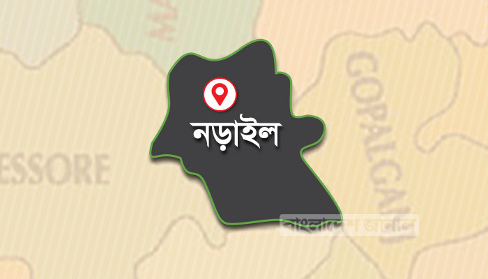 নড়াইলে ডাকাতি মামলায় আপন চার ভাইয়ের কারাদণ্ড