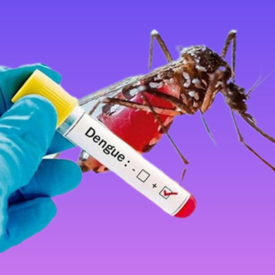 সরকারি হসপিটালে ৫০ টাকায় ডেঙ্গু পরীক্ষা করানো যাবে
