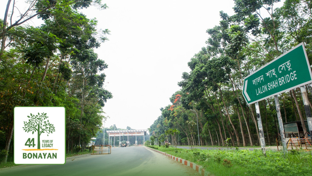 বাস্তুসংস্থান পুনরুদ্ধারে গুরুত্বপূর্ণ ভূমিকা রাখছে ‘বনায়ন’ বিশ্ব পরিবেশ দিবস উপলক্ষে বিতরণ করা হবে ৫০ লাখ চারা