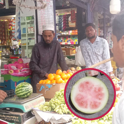 কুষ্টিয়ায় অপরিপক্ক তরমুজ বিক্রি হচ্ছে ৮০ টাকা কেজিতে