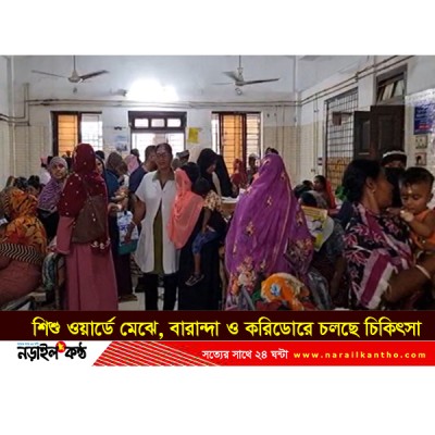 নড়াইল জেলা হাসপাতালে শিশু ও সাধারণ ওয়ার্ডে চরম ভিড়, চিকিৎসক সংকটে ব্যাহত স্বাস্থ্যসেবা
