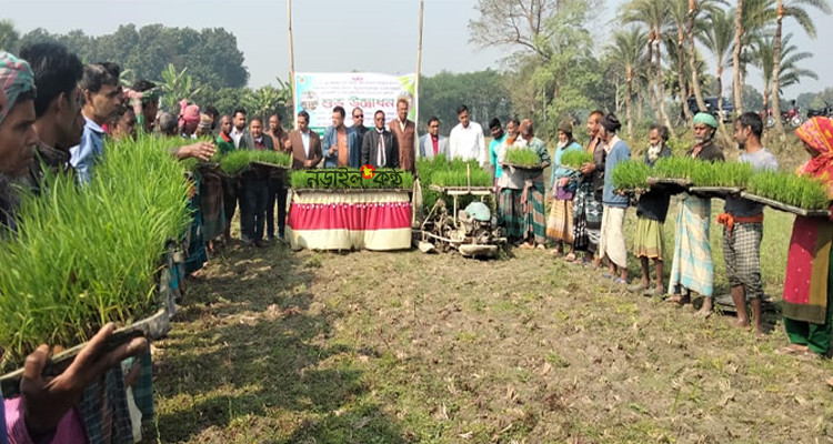নড়াইলে রাইস ট্রান্সপ্লান্টার’র মাধ্যমে ধানের চারা রোপণ উদ্বোধন