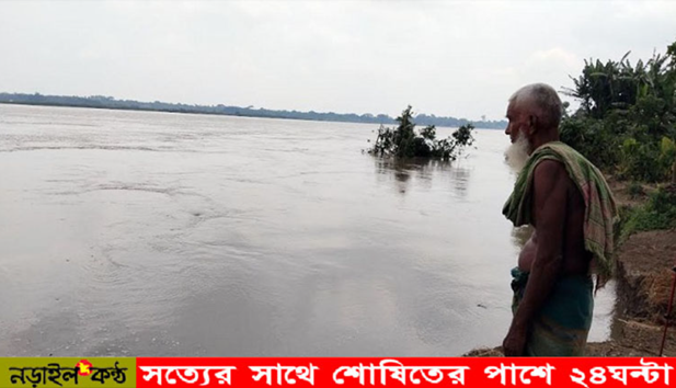 নড়াইলে মধুমতি নদীর ভাঙ্গনে দিশেহারা ক্ষতিগ্রস্তরা
