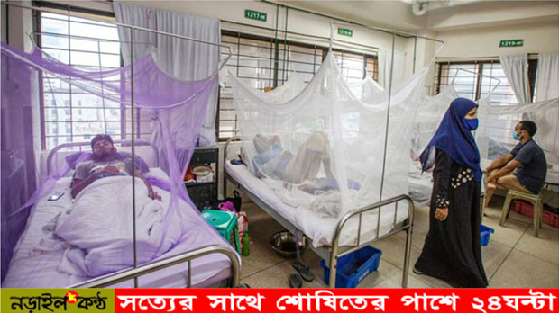 ওয়ানটাইম চায়ের কাপ বাড়াচ্ছে ডেঙ্গু রোগী, নড়াইলে শনাক্ত ৫৮