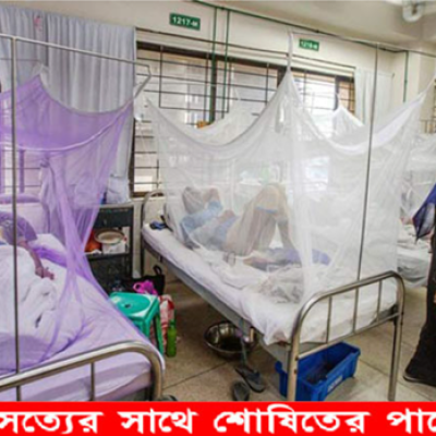 ওয়ানটাইম চায়ের কাপ বাড়াচ্ছে ডেঙ্গু রোগী, নড়াইলে শনাক্ত ৫৮