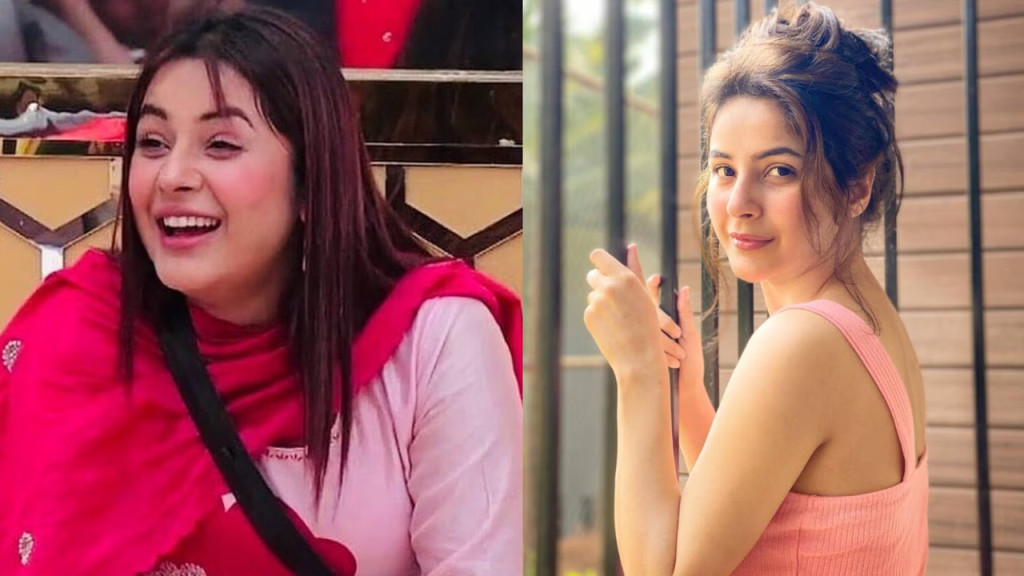 বলিউডে কাজ পেতে কী মাশুল গুনতে হয়, জানালেন শেহনাজ গিল