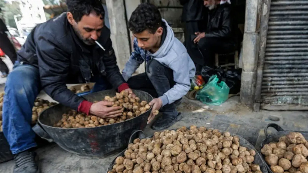 সিরিয়ায় ট্রাফল সংগ্রহের সময় আইএসের হামলা, নিহত ১১